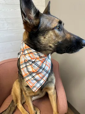 Black & Orange Halloween Plaid Dog Bandana