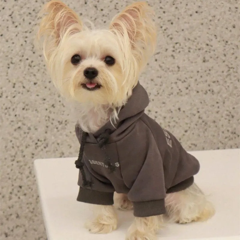 Luxury Hooded Dog Sweatshirt